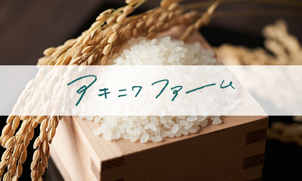 WEBサイトを公開しました
